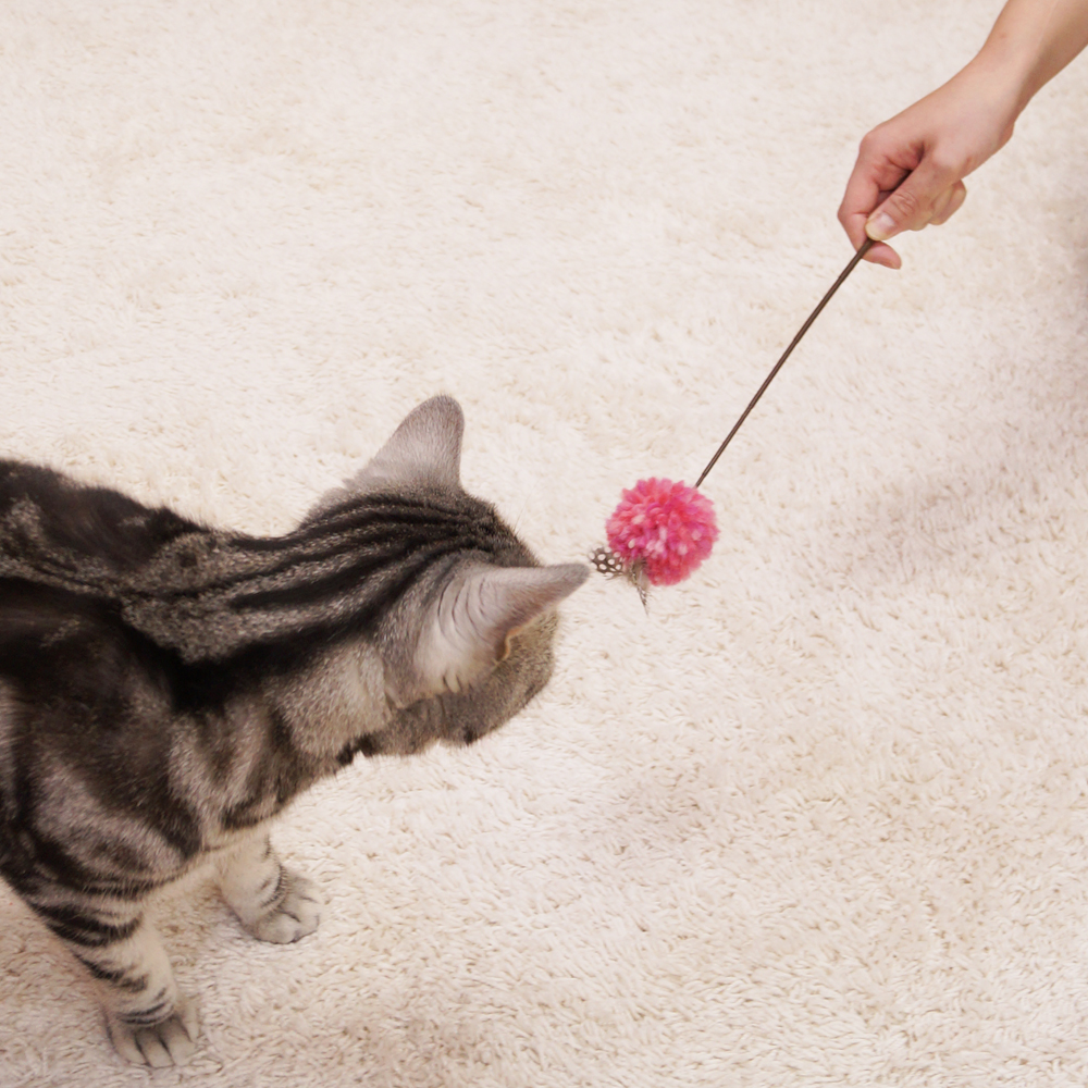 猫のおもちゃ】猫じゃらし じゃれ猫 にゃウール ぽんポン 羊毛 ピンク